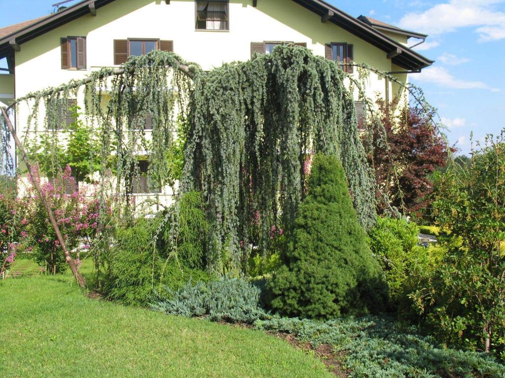 Veruno Albergo Residence Isotta מראה חיצוני תמונה